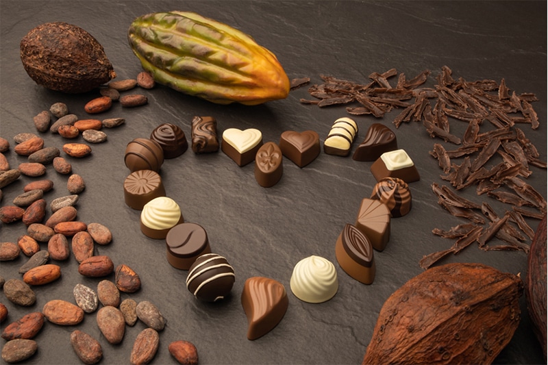 Шоколад продукт. Шоколадное дерево. Pralinen. Шоколад дерево натуральное фото. Golden Tree Chocolate.